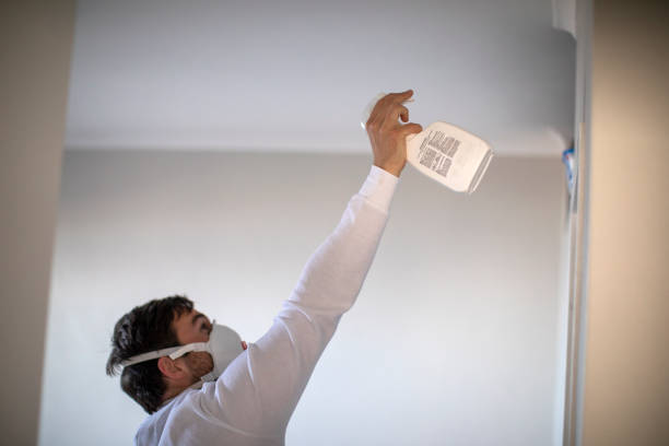 Best Certified Mold Removal  in Heron Bay, GA