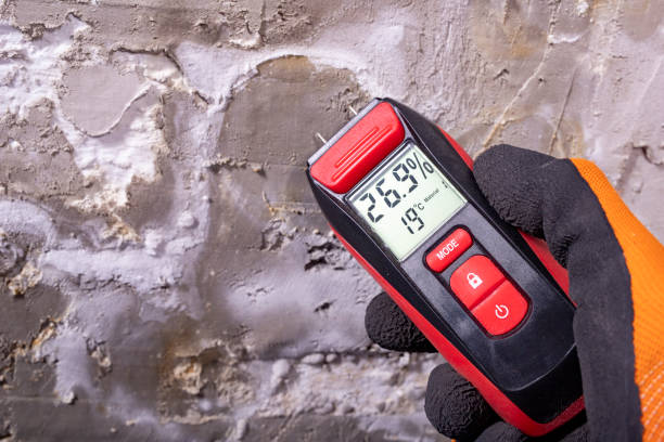 Best Attic Mold Removal  in Heron Bay, GA