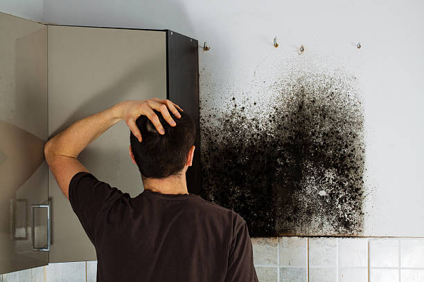Best Commercial Mold Removal  in Heron Bay, GA
